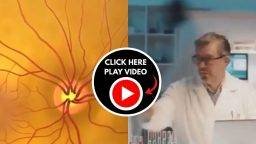 thum para topo (1024 x 576 px) (5)